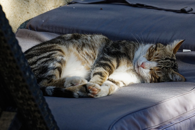 Famille et amis-JUN19-053